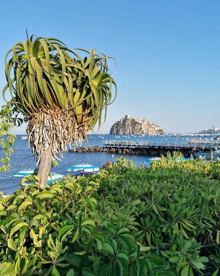 Maison Mele Ischia Buitenkant foto