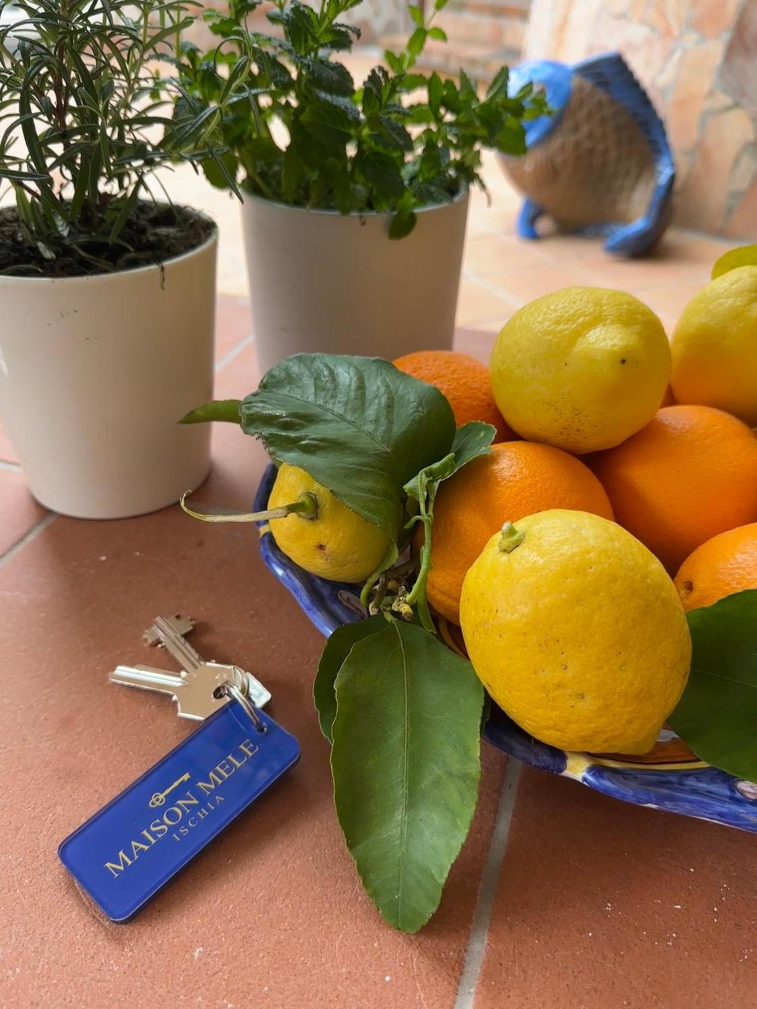 Maison Mele Ischia Buitenkant foto